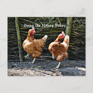 Att göra Hokey Pokey, Hokey Pokey Chickens Vykort
