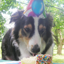 "Att ha din kummel och äta den också!"