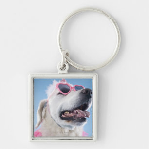Att ha på sig för hund som är hjärtformade, fyrkantig silverfärgad nyckelring