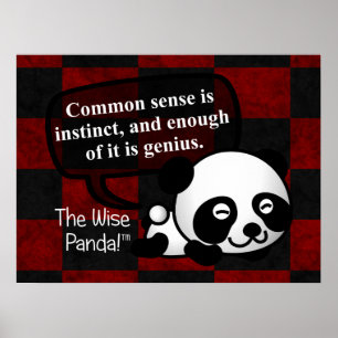 Att ha sunt förnuft gör dig ett snille poster