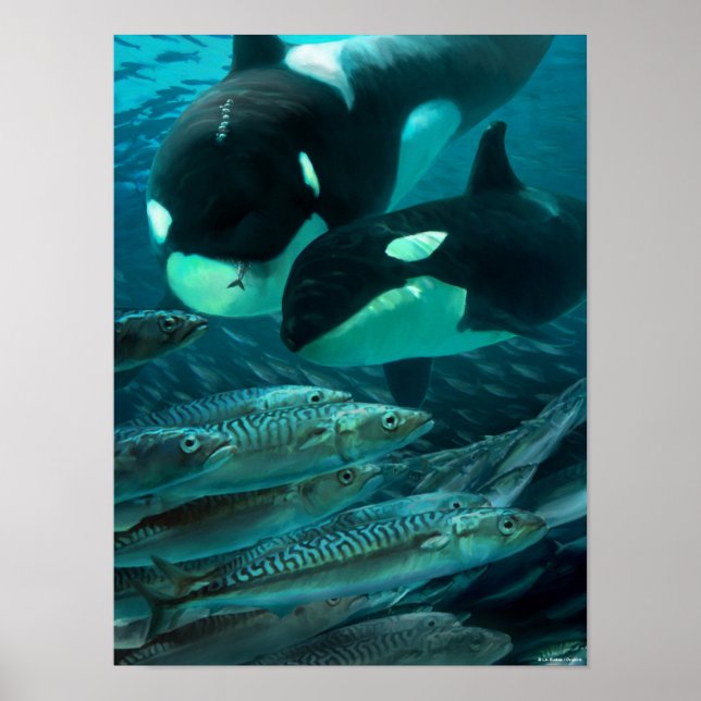 Att jaga makrill poster (Framsidan)