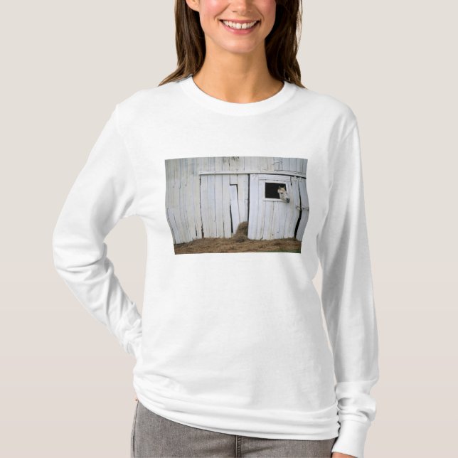 Att klibba för häst head ut ladugårdfönstret tee shirt (Framsida)