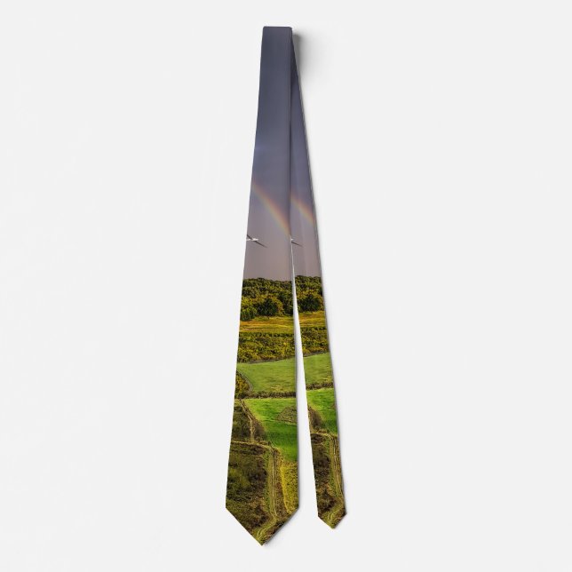 Att komma över stormen Painterly Neck Tie Slips (Framsida)