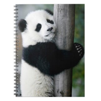 Att krama för Panda postar Anteckningsbok