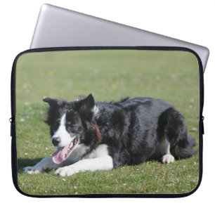 Att lägga för gränsCollie besegrar Laptop Sleeve