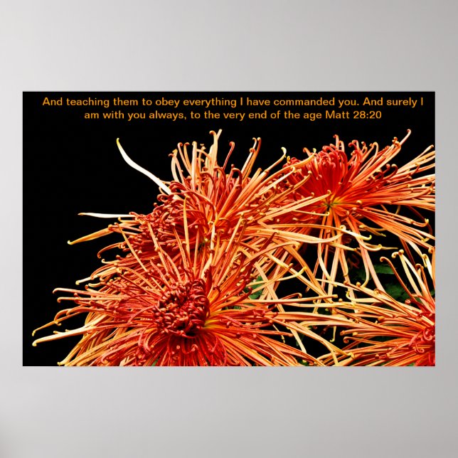 Att lära dem att lyda allt jag har beordrat poster (Framsidan)