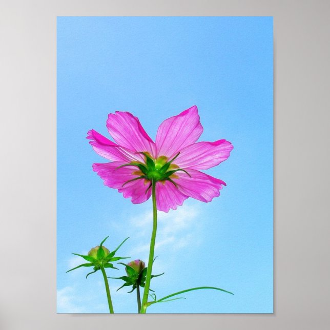 Att lära sig för livet poster (Framsidan)