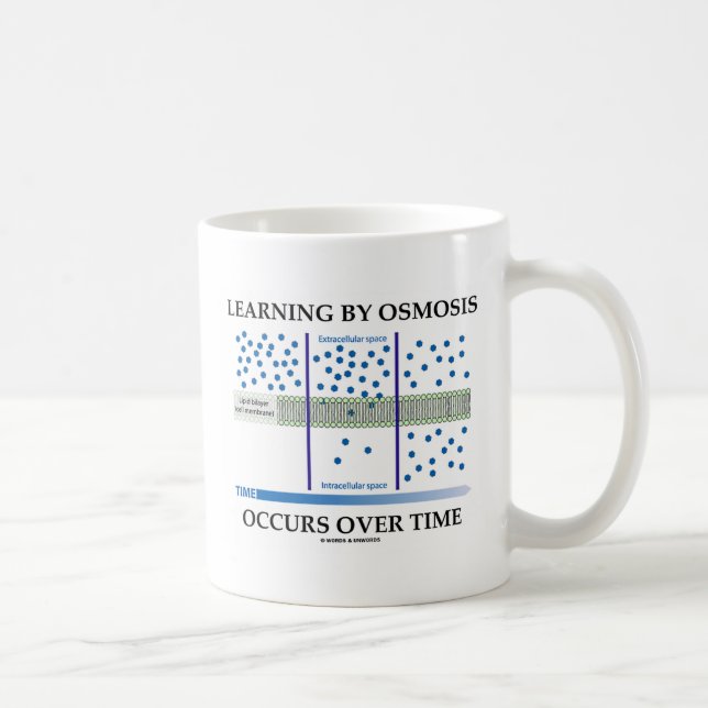 Att lära vid Osmosis uppstår med tiden Kaffemugg (Höger)