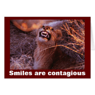 Att le Lejona Unge Smiles är smittsamt Hälsningskort