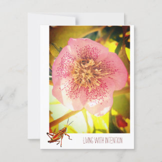 Att leva med avsikt. Helleborus (Lenten Ro) Vykort