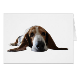 Att ljuga för Bassethund besegrar Hälsningskort