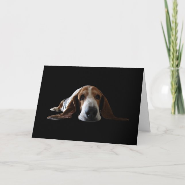 Att ljuga för Bassethund besegrar Kort (Framsida)