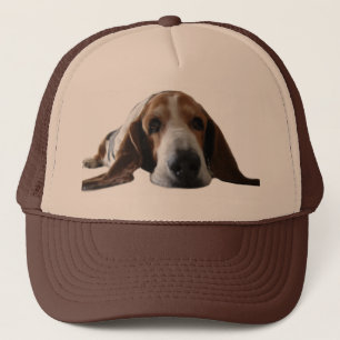 Att ljuga för Bassethund besegrar Truckerkeps