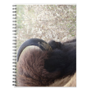 Att ljuga för Bisonhuvud besegrar Anteckningsbok Med Spiral
