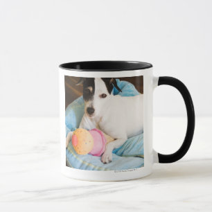 Att ljuga för den jackrussell terrieren besegrar mugg