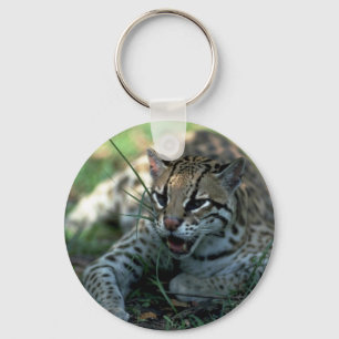 Att ljuga för Ocelot besegrar Nyckelring