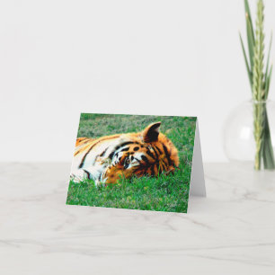 Att ljuga för tiger besegrar noterar kortet kort