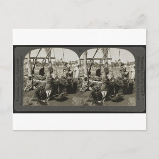 Att lyfta Vatten ut ur Nilen i Egypten omkring 192 Vykort