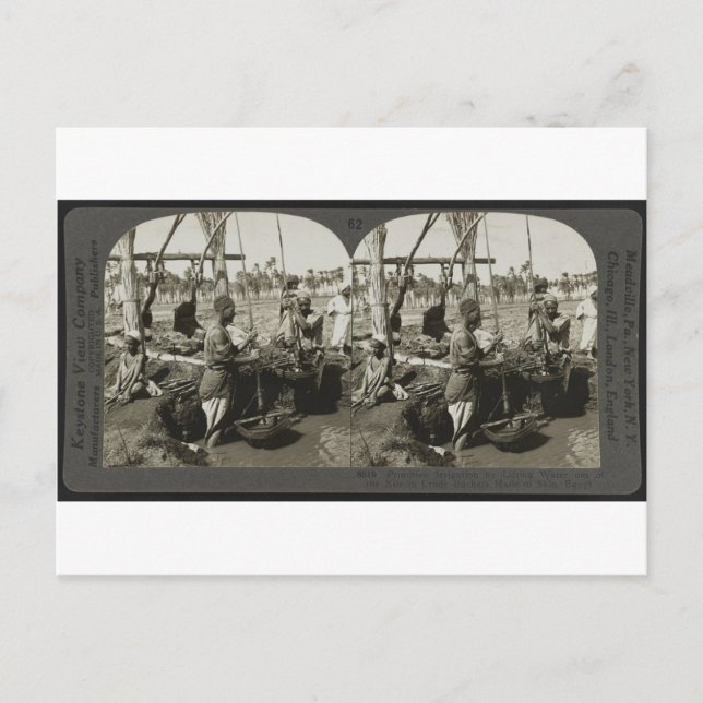 Att lyfta Vatten ut ur Nilen i Egypten omkring 192 Vykort (Framsida)