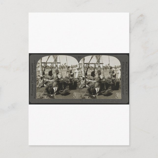 Att lyfta Vatten ut ur Nilen i Egypten omkring 192 Vykort (Framsida)