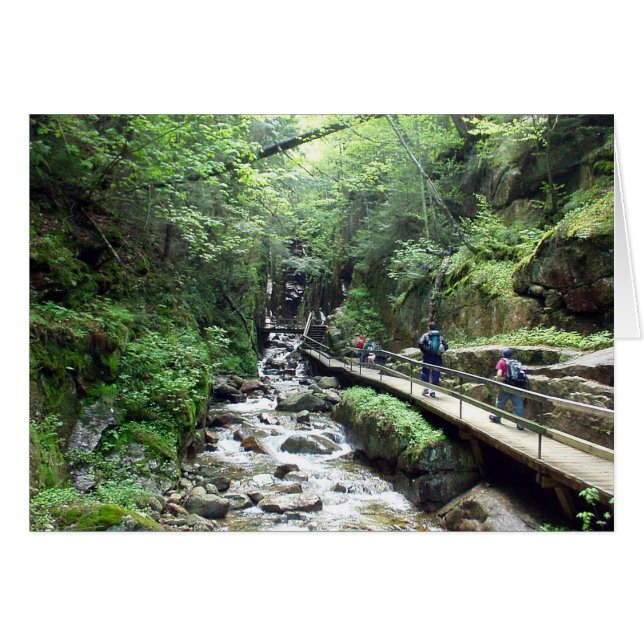 Att närma sig flumen - kort (Framsidan Horizontal)