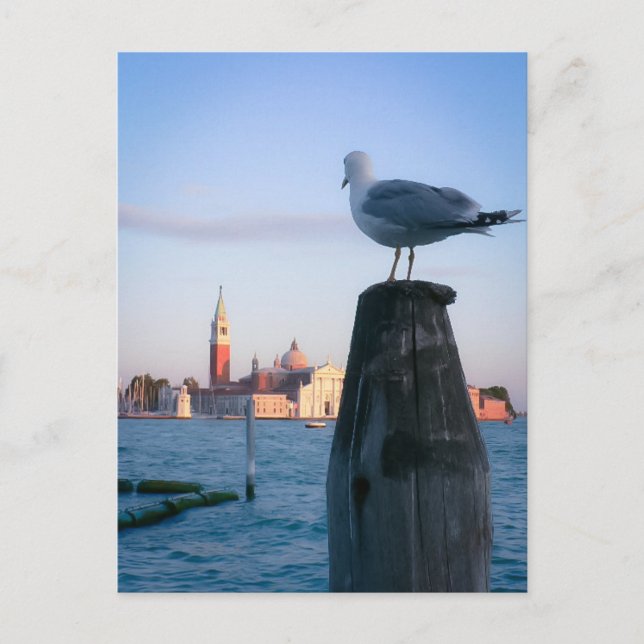 Att observera gondalas i Venedig Vykort (Framsida)