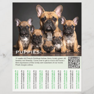 Att sälja Frenchies Puppy Flyer