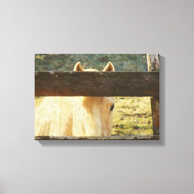 Att söka igenom stängslet canvastryck (Framsida)