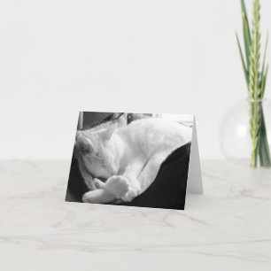 Att sova gnisslar kort