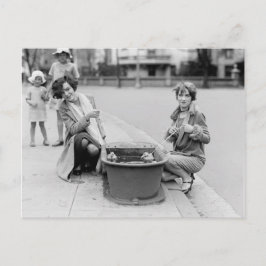 Att ta ut Ankor under en Simma Vykort