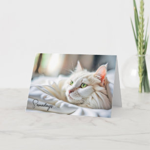 Att tänka på att du har vit katt i sängen kort