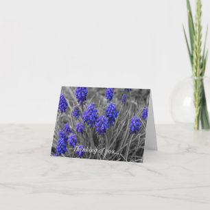 Att tänka på att välja mellan kortgradens hyacinth kort