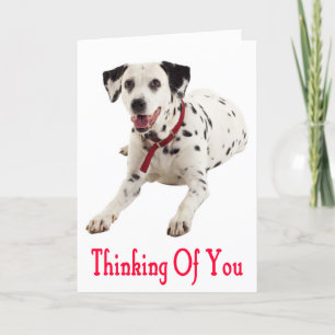 Att tänka på Dalmatien Puppy Hund Greeting Card Kort
