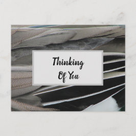 Att tänka på dig Anka Feather Photo Modern Vykort