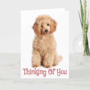 Att tänka på dig Apricot Pudel Puppy Hund Card Kort