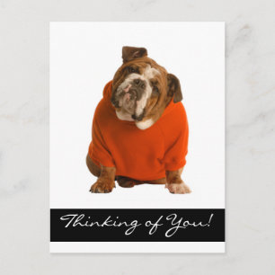 Att tänka på dig Bulldog Puppy Hund Poscard Vykort