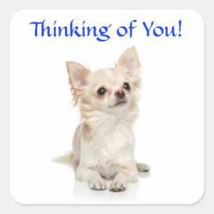 Att tänka på dig Chihuahua Puppy Sticker Fyrkantigt Klistermärke