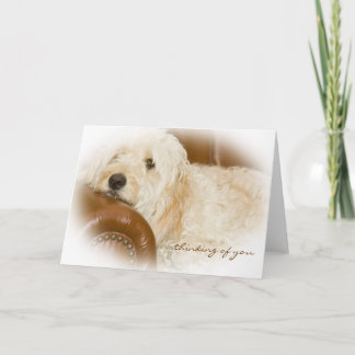 Att tänka på dig - Dreamy Hund Resten Kort