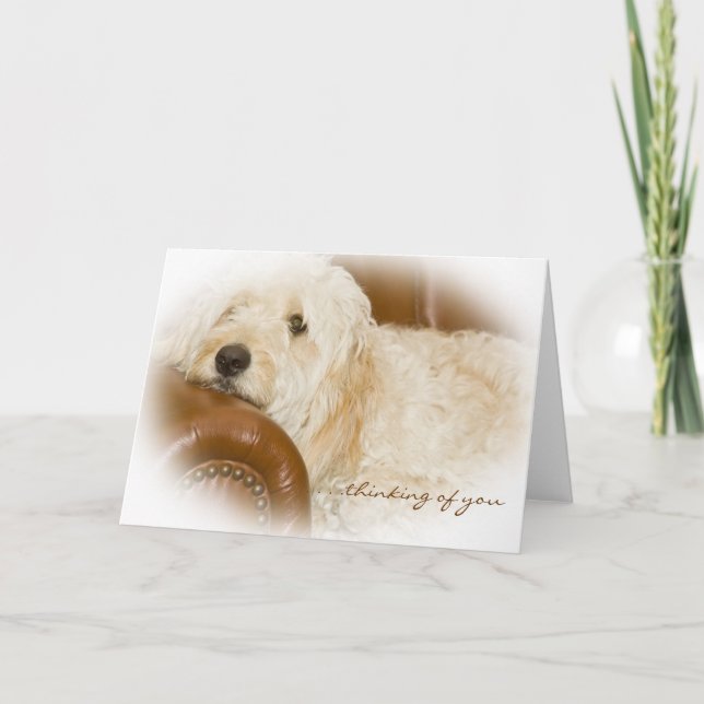 Att tänka på dig - Dreamy Hund Resten Kort (Framsida)