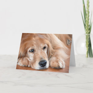 Att tänka på dig Golden Retriever Kort