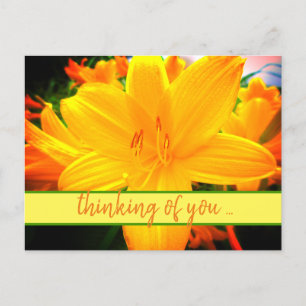 Att tänka på dig Gult Orange Day Lily Flowers Vykort