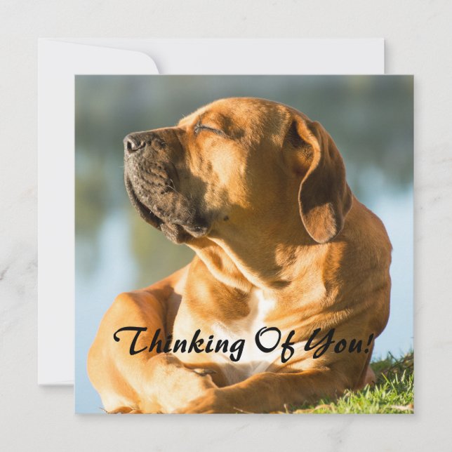 Att tänka på dig julkort (Framsida)