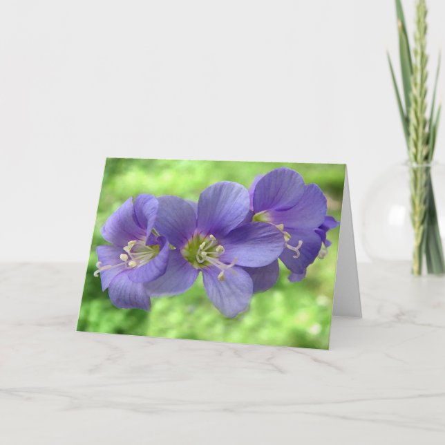 Att tänka på dig kort (Framsida)