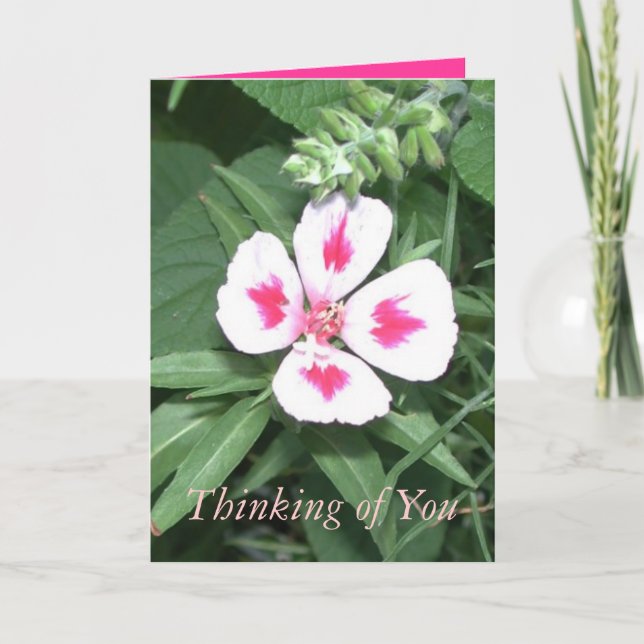 Att tänka på dig kort (Framsida)