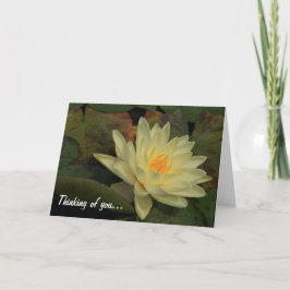 Att tänka på dig kort