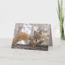 Att tänka på dig kort 7 x 5-tums Bickles