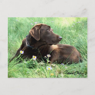 Att tänka på dig Labrador Retriever Lila blommor Vykort