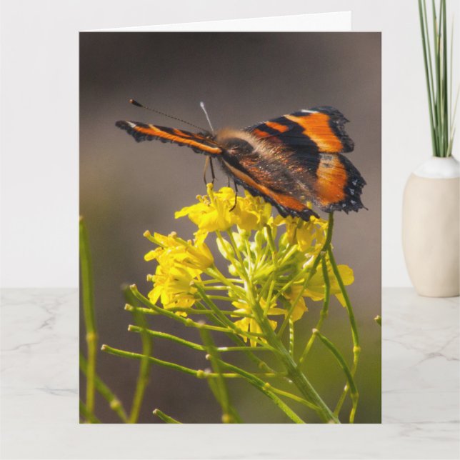 Att tänka på dig Milberts Tortoiseshell Butterfly Kort (Framsida)