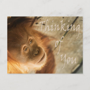 Att tänka på dig Monkey Vykort