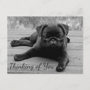 Att tänka på dig Pug Puppy Hund Hälsning-vykort Vykort
